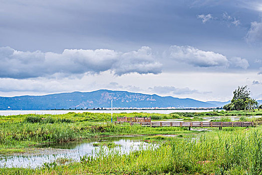 滇池东岸湿地风光