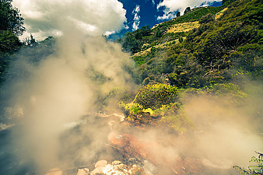 蒸汽,自然,新西兰