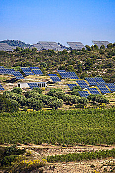 葡萄园,橄榄林,太阳能电池板,塔拉戈纳省,加泰罗尼亚,西班牙