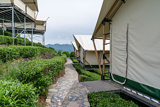 茶园帐篷酒店