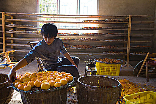 月柿,柿饼,加工,红岩村,广西,桂林,恭城