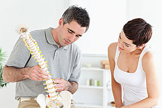 脊椎按摩师,病人,看,模型,脊椎