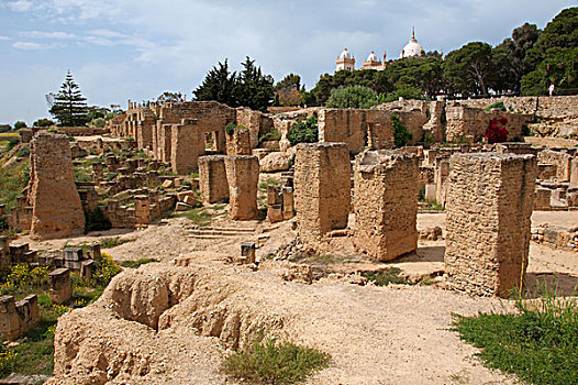 古老,迦太基,老式,城市,突尼斯,非洲