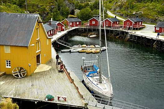 小,港口,彩色,房子,罗弗敦群岛,挪威