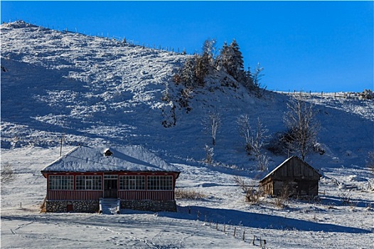 乡村,房子,雪地