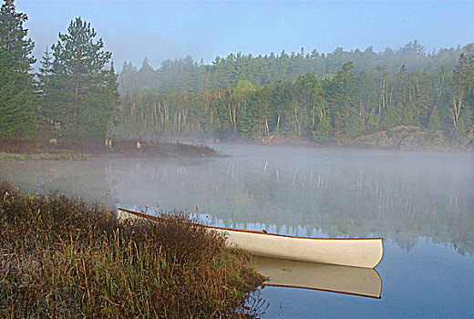 早晨,模糊,荒野,白色,独木舟,安大略省,加拿大