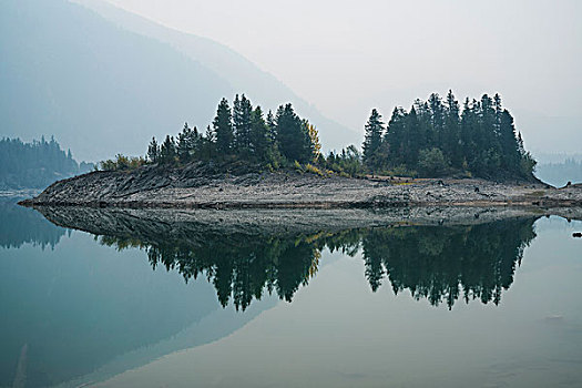 树,地点,反射,平静,湖,雾状,天气,惠斯勒,不列颠哥伦比亚省,加拿大