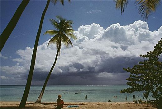 景色,海滩,晴天,多巴哥岛,加勒比海