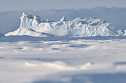 冰冻,峡湾,迪斯科,岛屿,格陵兰,北极,北美