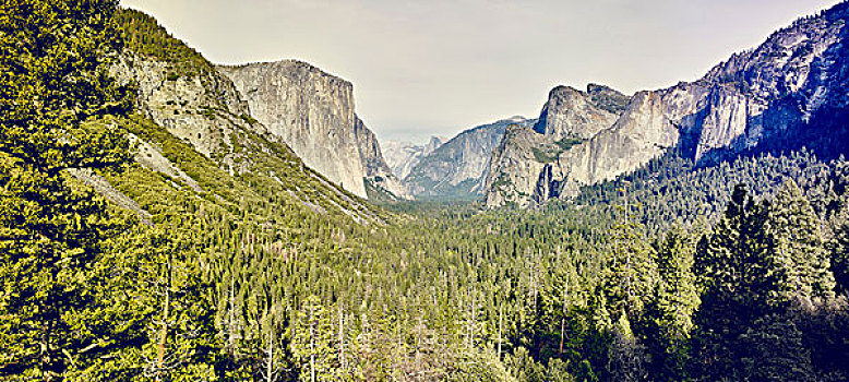 山,树林,优胜美地国家公园,加利福尼亚,美国