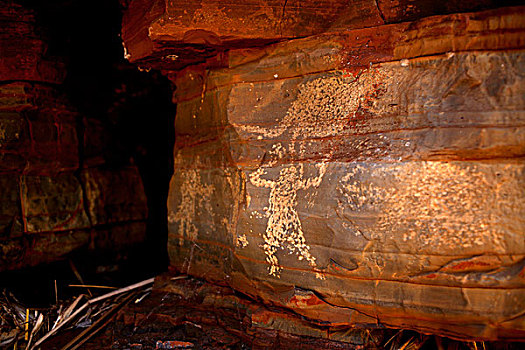 地方特色,澳大利亚,土著,石头,艺术,卡瑞吉尼国家公园,西澳大利亚州