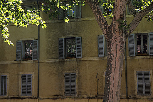 法国,普罗旺斯地区艾克斯,街景,房子,悬铃木,树