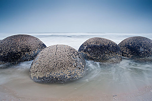 大,漂石,浅水,海滩,南岛,新西兰