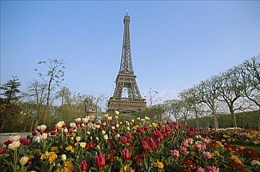 埃菲尔铁塔,春花,巴黎,法国