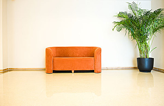 现代,沙发,植物
