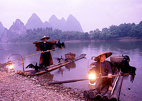 渔民,漓江,鸟,中国