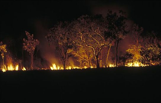 夜晚,卡卡杜国家公园,澳大利亚