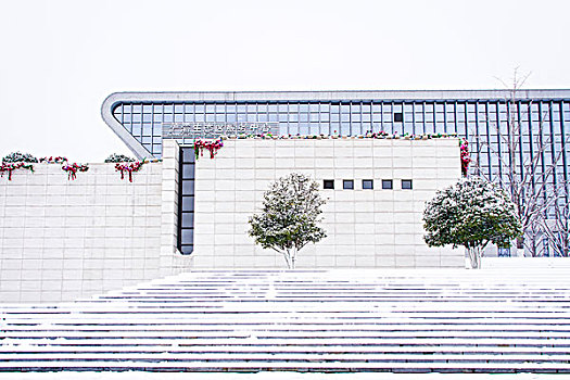 城市雪景