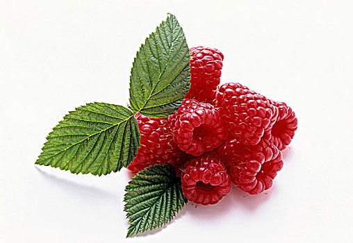 树莓,三个,白色背景