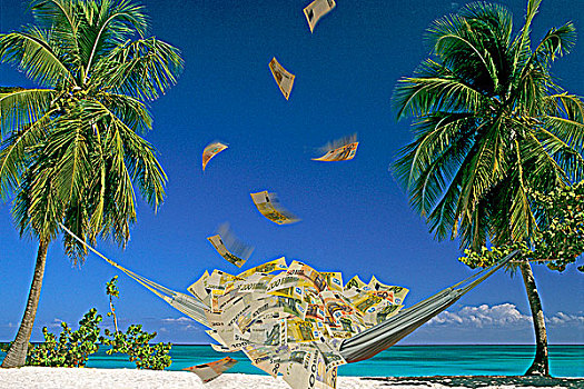 欧元,钞票,吊床,棕榈树,税