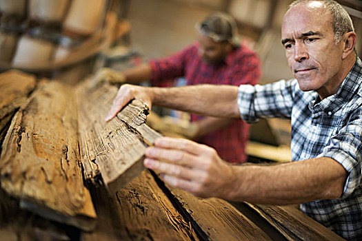 木材,工作间,多人,工作,一个,男人,测量,检查,木板,木头,循环使用,再循环