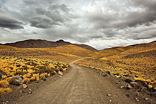 碎石路,安第斯山,黄色,道路,靠近,佩特罗,阿塔卡马沙漠,省,安托法加斯塔大区,大,智利,南美