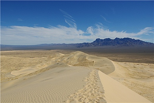 莫哈韦沙漠,沙丘,加利福尼亚