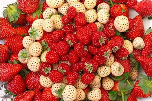 成熟,白色,红色,草莓,盘子