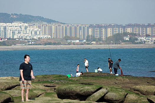 太公岛落大潮,市民登岛赶海拾贝收获多多