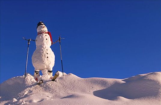 雪人,滑雪,楚加奇山,阿拉斯加,冬天