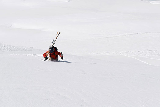 男性,滑雪,向上,山,大雪,隆河阿尔卑斯山省,法国