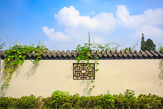 墙壁,传统,中国风,白墙,植被,石窗,藤蔓