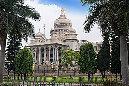 树,正面,政府建筑,班加罗尔,印度