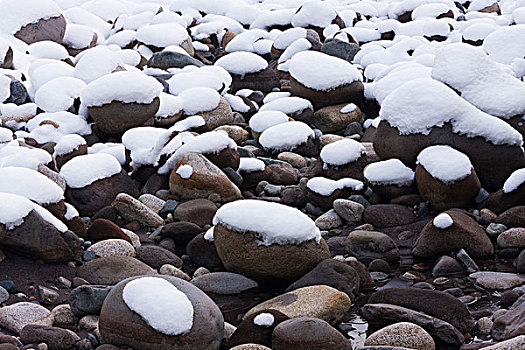 雪,石头,山,雷尼尔山,国家公园,华盛顿,美国