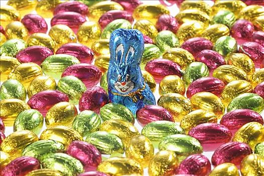 小,巧克力蛋,色彩,箔,复活节巧克力兔