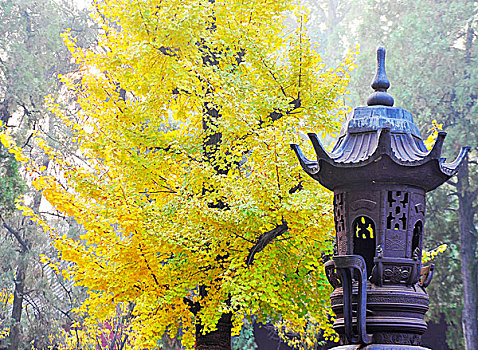 白马寺