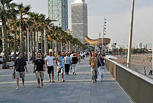散步场所,金色,鱼,设计,奥林匹克港,巴塞罗那,加泰罗尼亚,西班牙,欧洲