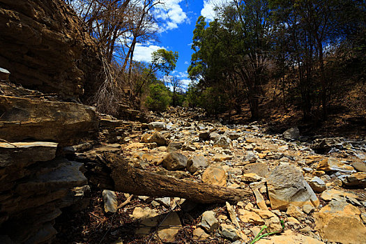干燥,石头,河床,马达加斯加