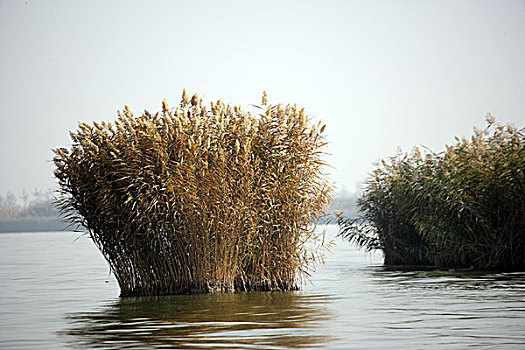 银川沙湖