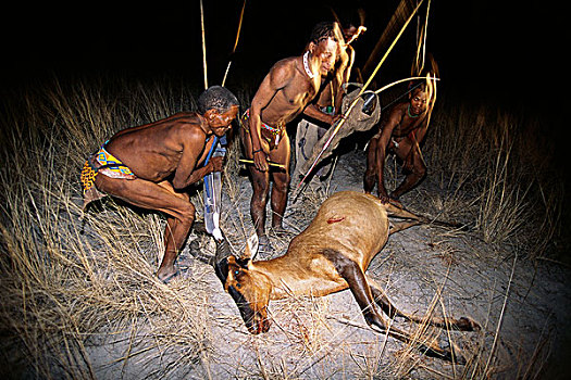 丛林原住民,猎人,杀,夜晚,纳米比亚,非洲
