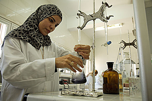 女人,测验,样品,实验室,盐,公司,亚历山大,一个,四个,领导,制造,使用,埃及,六月,2007年