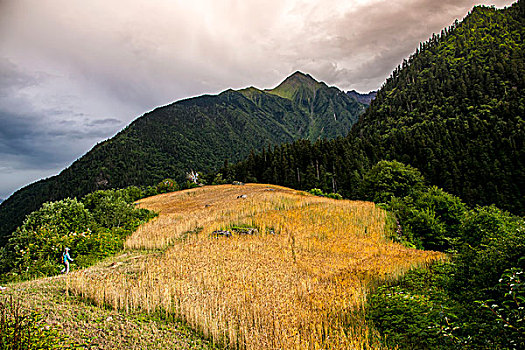 雨崩村风光