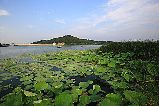 南京卧龙湖