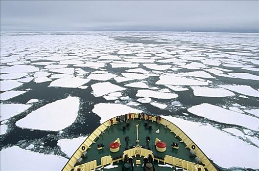 游客,俄罗斯人,破冰船,浮冰,南极