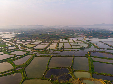 湖北黄石保安湖国家湿地公园春季航拍风光