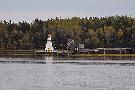灯塔,码头,乡村,新布兰斯维克,加拿大
