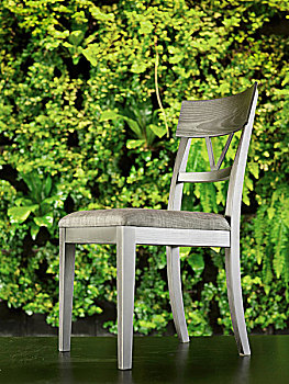 灰色,软垫,餐椅,正面,壁纸,绿色,植物