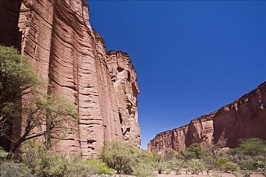 砂岩,峡谷,国家公园,塔兰巴亚,阿根廷,南美