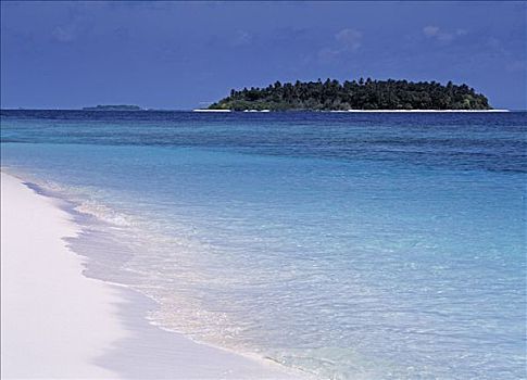 岛屿,小,马尔代夫,印度洋