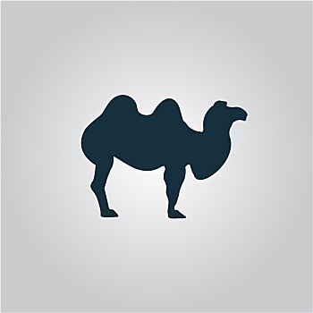 骆驼,象征,灰色背景